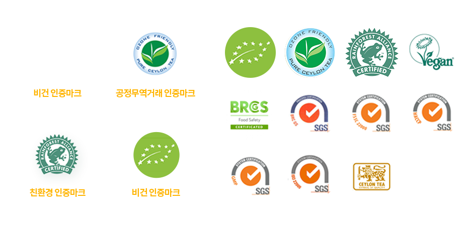 친환경 인증 차