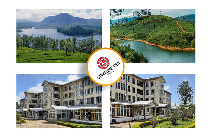 친환경 인증 차